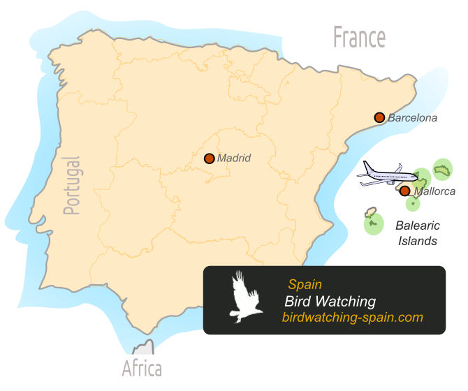 Spain map - Balearic Islands